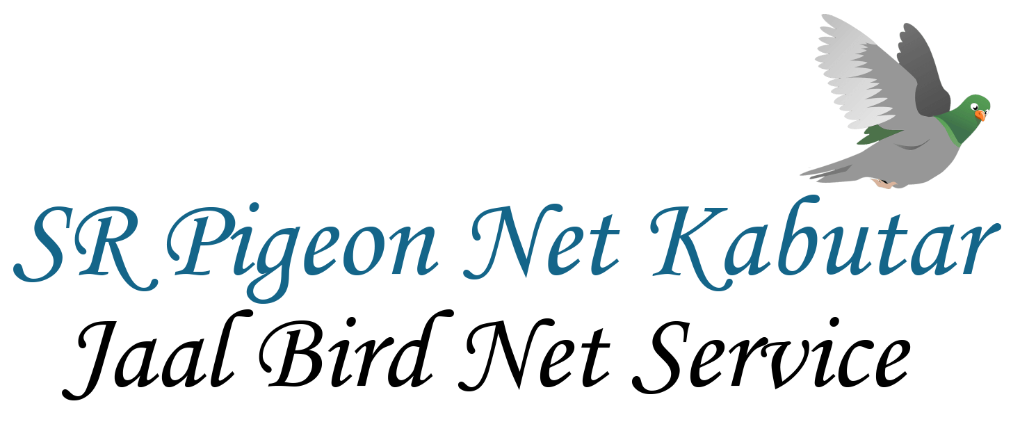 SR Pigeon Net Kabutar Jaal Bird Net Service
