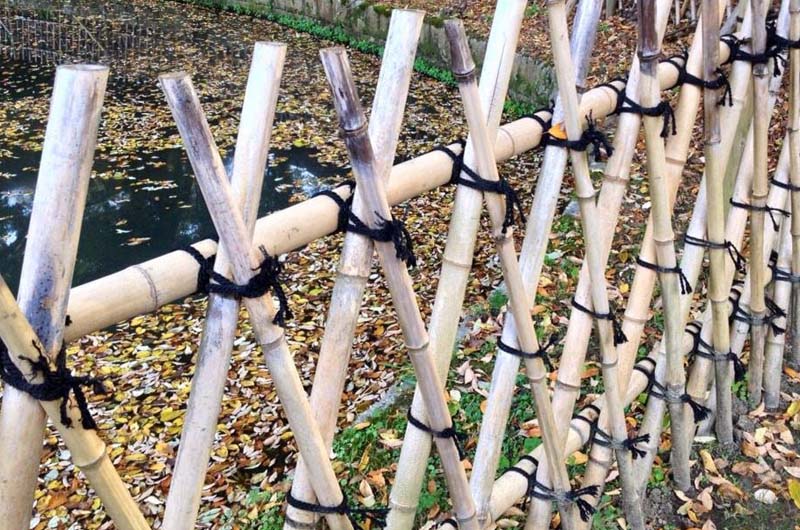 Bamboo Fencing